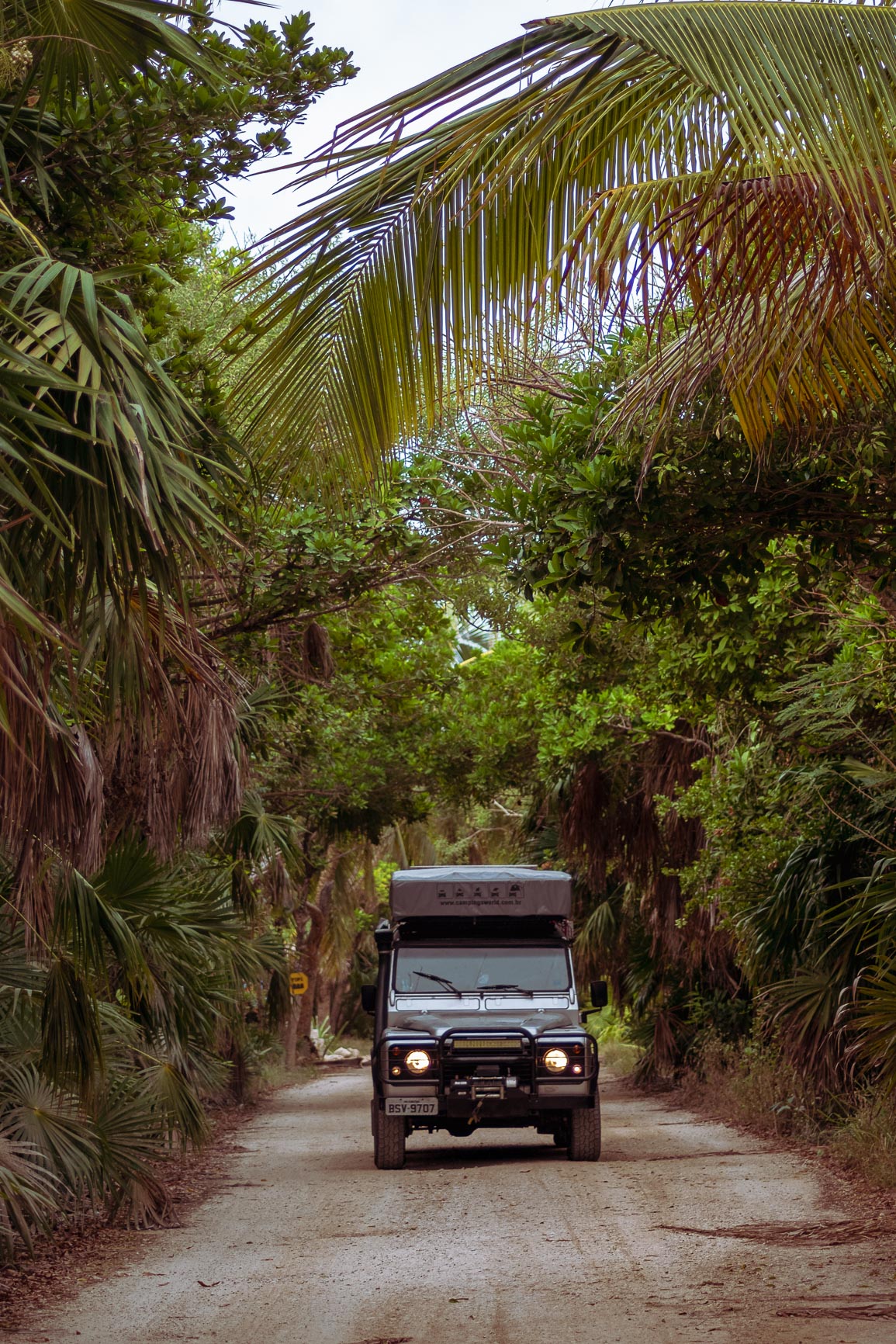 Leia mais sobre o artigo Viajando de carro pelo México